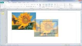 Crop and Size pictures in MS Publisher [upl. by Orlov]