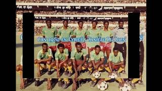 LES 22 LIONS INDOMPTABLES HISTORIQUES ET GALACTIQUES DE LA CAN 1982 EN LYBIE [upl. by Nagar654]