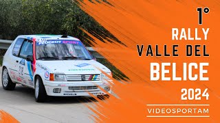 Scarlata Stellario PSG 1° Rally Valle Del Belice 2024 [upl. by Dahle636]