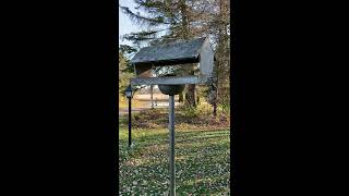 Squirrel proof bird feeder [upl. by Amitarp]