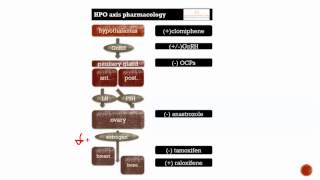 obgyn pharmacology review [upl. by Keary]