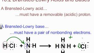 BBrown AP Chapter 161163 Notes [upl. by Averil]