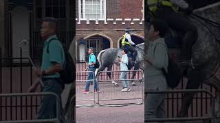 Buckingham palace changing of the guard begins at St James Palace MWF 1030am [upl. by Atinaw]