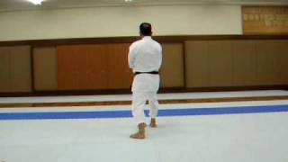 Israel Shotokan Eli Cohen Heian Nidan  Slow [upl. by Nonac]