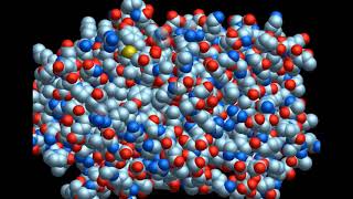 Polyphenol Oxidase PPO [upl. by Rattray]