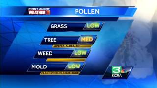 Tree pollen on the rise [upl. by Gavini]