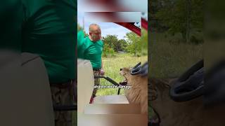 🤯This man scold the lion animals lion [upl. by Viv451]