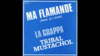 Tribal Mustachol  Avec ma flamande [upl. by Enidan]