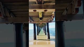 Hervey Bay QLD  Winter 2024  Urangan Pier Magic [upl. by Eikceb]