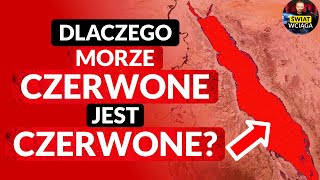 Dlaczego MORZE CZERWONE jest CZERWONE 🔴🌎 [upl. by Annawahs]