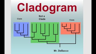 Cladogram [upl. by Mharba]