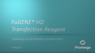 FuGENE® HD Transfection Reagent Video [upl. by Nodnahs]