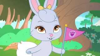 Whisker Haven Tales  Harvest Haven  Official Disney Junior Africa [upl. by Gnivre334]