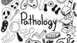 Pathology Lec  4 Apoptosis  Dr muath Rjoob [upl. by Alyacim]