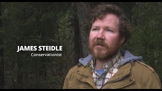 James Steidle –Lifeblood of our Forests [upl. by Nahtanod]