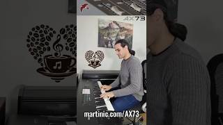 AXBundle AX73 SundayVibes MorningMelodies MusicLovers MusicCommunity Martinic APmagicKeys [upl. by Nnayt]