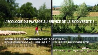 Lécologie du paysage au service de la biodiversité [upl. by Adnawuj658]