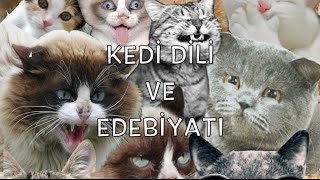 Kedi Dili ve Edebiyatı  My Sweety and Funny Cat [upl. by Gelhar]