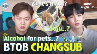 CC CHANGSUB going camping with his dog🐶 BTOB CHANGSUB KEY [upl. by Tades]