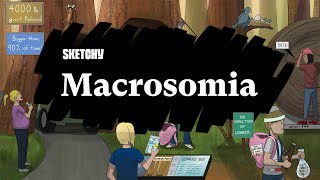 Macrosomia Overview Part 1  Sketchy Medical [upl. by Ramoj]