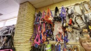 Millers Tack amp Saddlery  Odessa TX  Horse Equipment [upl. by Nwadal]