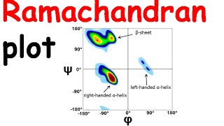 Ramachandran plot [upl. by Wainwright]