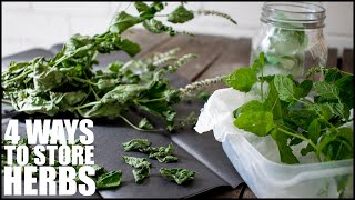 4 Efficient Methods For PRESERVING FRESH HERBS  How To Store Fresh Mint Leaves [upl. by Aciretal718]