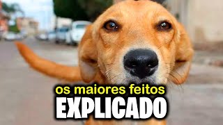 Maiores Feitos Explicado [upl. by Loralee116]