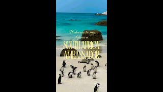 Cape Town South Africa Virtual Blanca Salas [upl. by Imis]