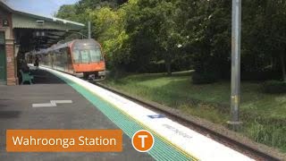 Sydney Rails Vlog 1 Wahroonga Station [upl. by Ivzt467]