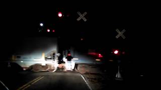 Seminole Gulf Railway crossing Whitfeild Avenue [upl. by Ehgit]