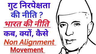 गुट निरपेक्षता आंदोलन क्या है  गुट निरपेक्षता किसे कहते हैं  Non Alignment Movement in Hindi [upl. by Atat]