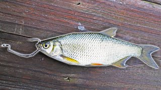 Using LIVE SHINERS As BAIT In MARINA DOCKS EXCITING [upl. by Rhyne378]