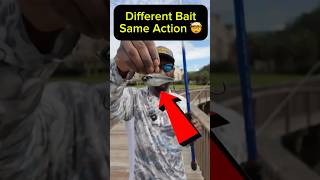 Do this with your lipless crankbait and catch more bass 🤯🎣 fishing bassfishing bankfishing [upl. by Nandor]