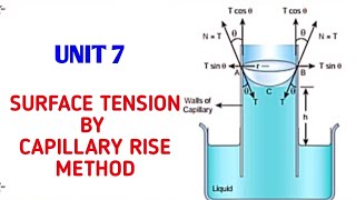 Surface tension by capillary rise method  Unit 7 Properties of matter  11 Physics Samacheer kalvi [upl. by Etnasa]