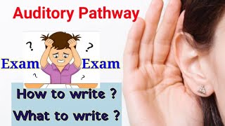 Auditory pathway Simplest Explanation [upl. by Cobb967]