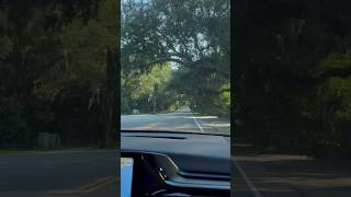 Driving Through The Oaks  St Simons Island GA [upl. by Rofotsirk867]