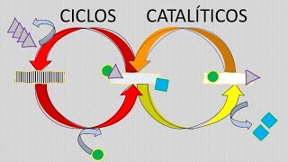 Ciclos catalíticos con compuestos organometálicos [upl. by Nnomae]