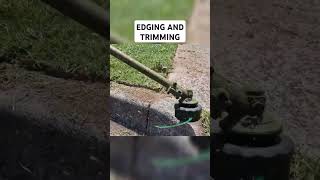 EDGING AND TRIMMING LAWN foryou lawn lawncare love garden fyp [upl. by Sucitivel886]