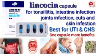 Lincocin capsule Uses Benefits Side Effects contraindication Drug Medicines [upl. by Leizo421]