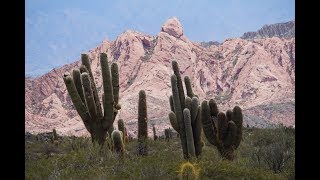 Una vista del Parque Nacional Los Cardones  Salta  Argentina [upl. by Vern]