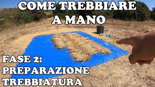 Come Trebbiare a Mano Preparazione Trebbiatura  Parte 2 [upl. by Noitna]