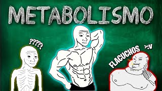 METABOLISMO  CATABOLISMO  ANABOLISMO ¿QUE SON [upl. by Frymire]