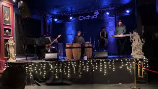 Lc’s Afro Cuban Latin jazz band Denver co [upl. by Bergstrom]