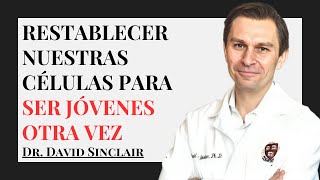 Revertir El Envejecimiento Con Los Factores Yamanaka  Dr David Sinclair [upl. by Refenej]