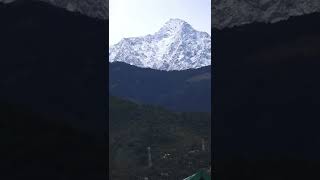 First Snowfall of this Winter ❄⛄in Dholadhar Range Palampur palampur snowfall mountains [upl. by Santa]