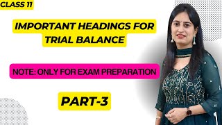 Exam Preparation Important Questions Part  3 trialbalance [upl. by Guglielma]