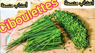 Ciboulettes comment faire sécher ciboulette naturellement [upl. by Ahsatal]