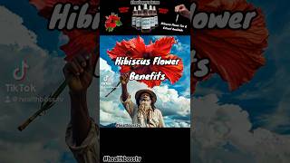 Hibiscus Flower Benefits [upl. by Glaser213]