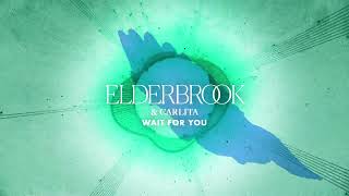 Elderbrook amp Carlita  Wait For You [upl. by Fenella]